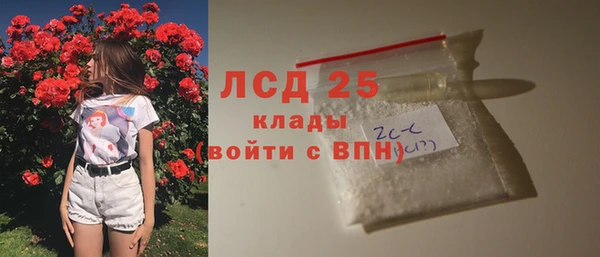 таблы Болотное