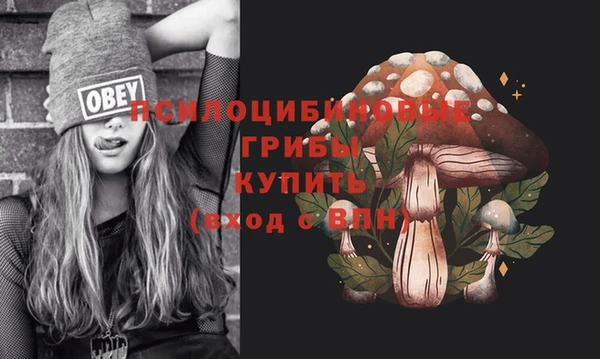дмт Болхов